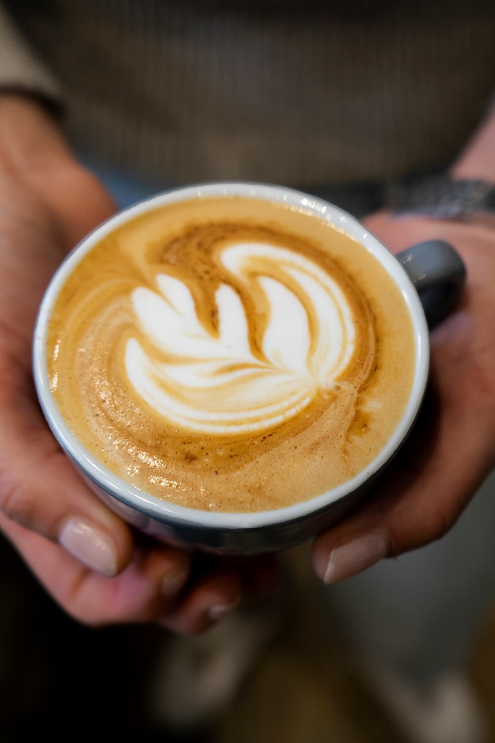 Wiener Melange - Latte Art